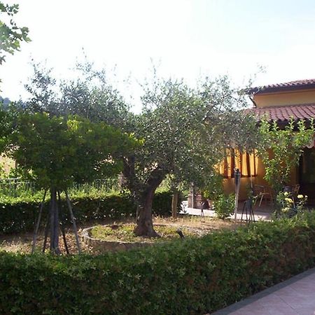 Agriturismo 7 Colonne Villa Bertinoro Bagian luar foto