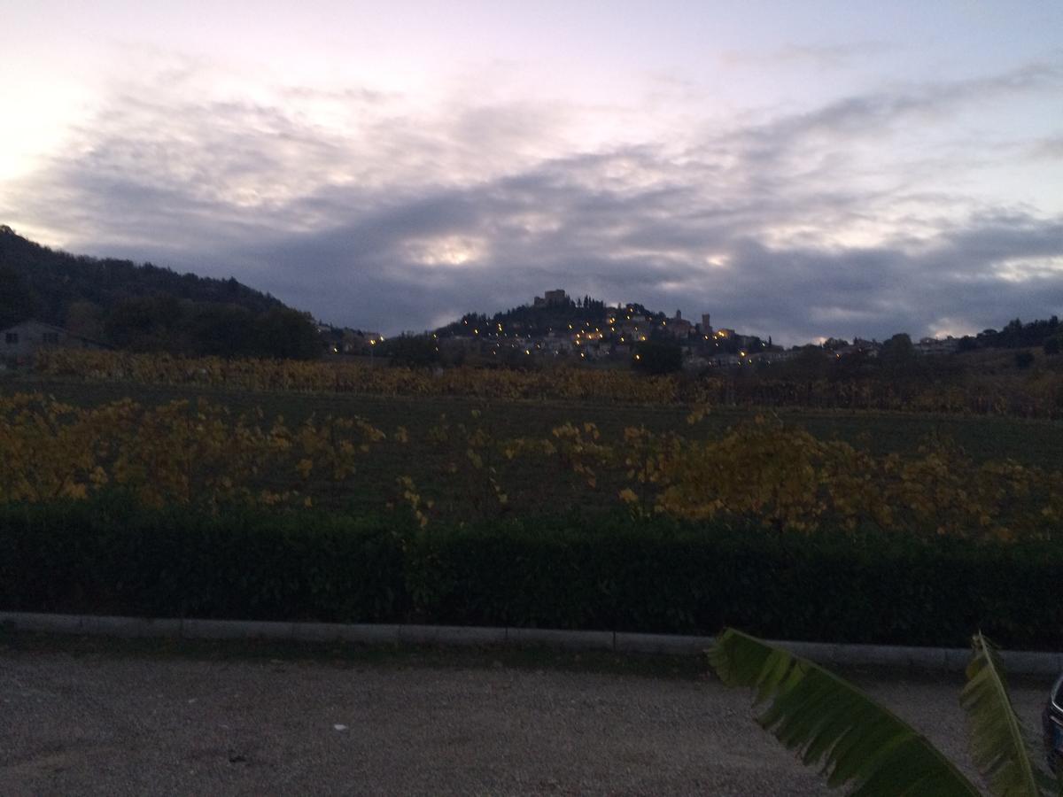 Agriturismo 7 Colonne Villa Bertinoro Bagian luar foto